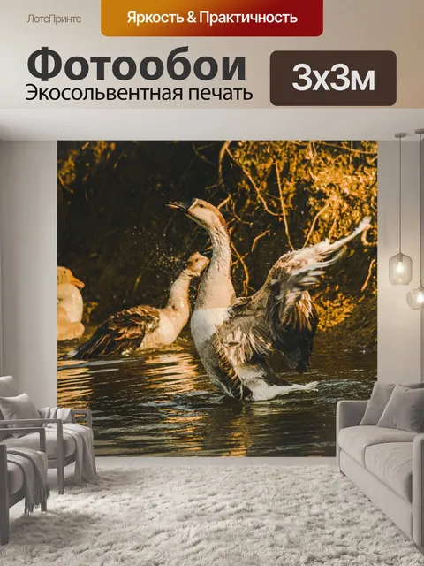 Фотообои Гуси