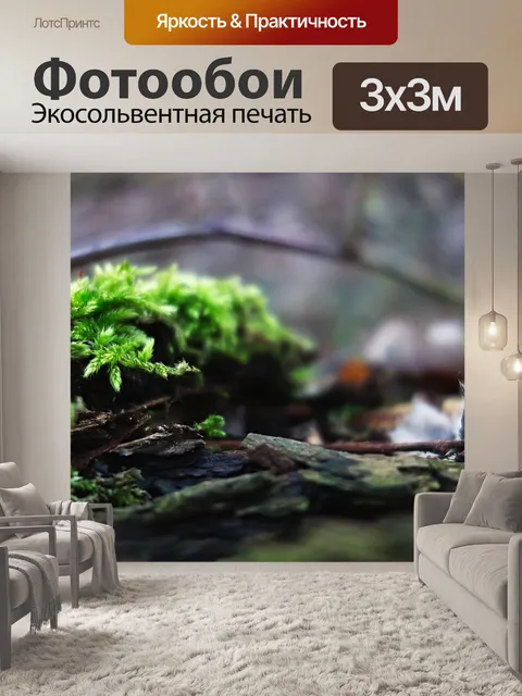 Фотообои Мох
