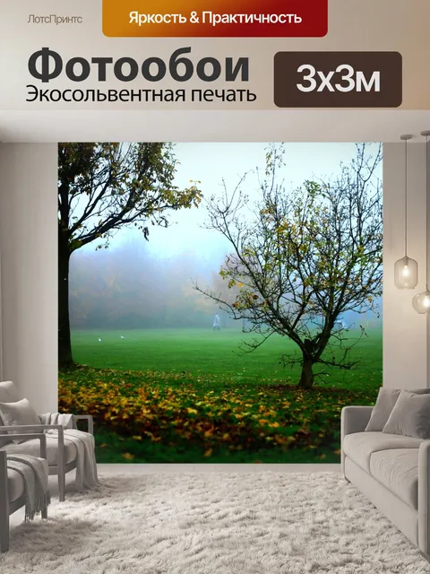 Фотообои Туман
