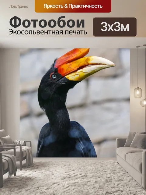 Фотообои Носорог птица-носорог