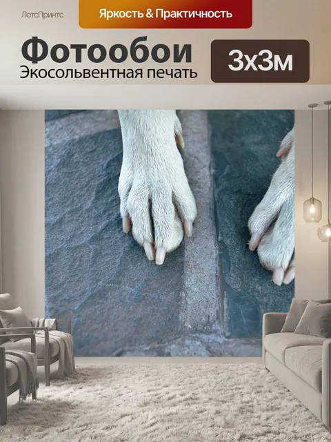 Фотообои Лапы