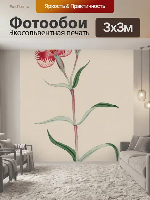 Фотообои Цветы