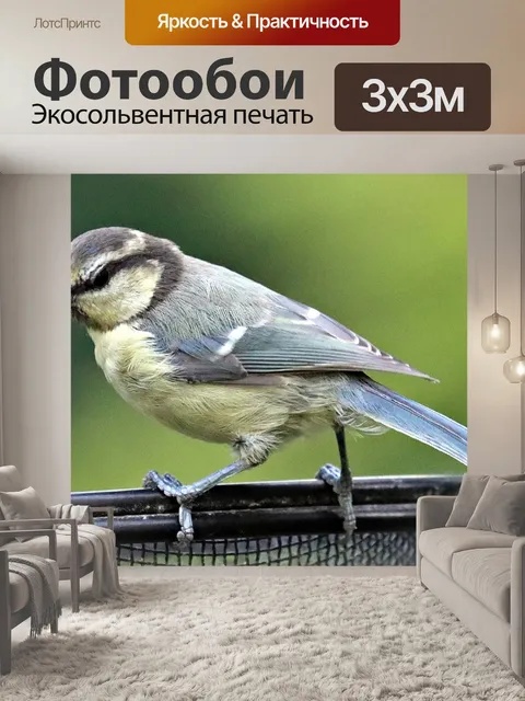 Фотообои Птица на кормушке