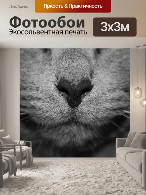 Фотообои Кошка