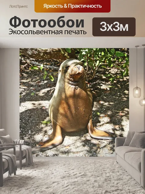 Фотообои Море