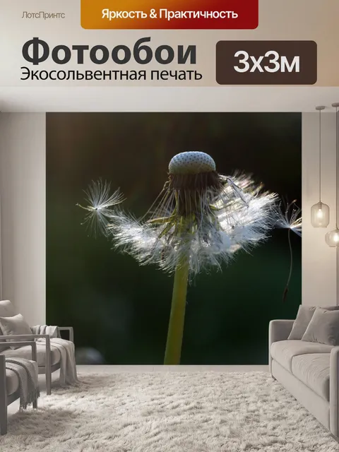 Фотообои Цветущий одуванчик - фото