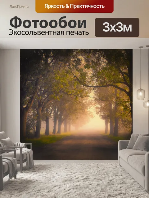 Фотообои Лес