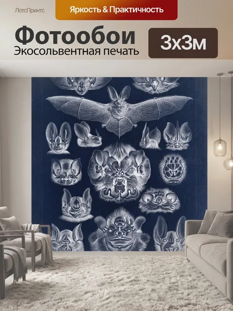 Фотообои Летучие мыши винтажный принт