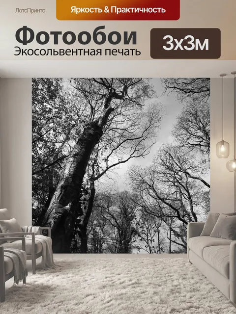 Фотообои Дерево