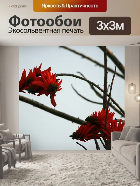 Фотообои красные цветы Erythrina
