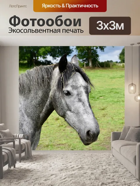 Фотообои Лошадь
