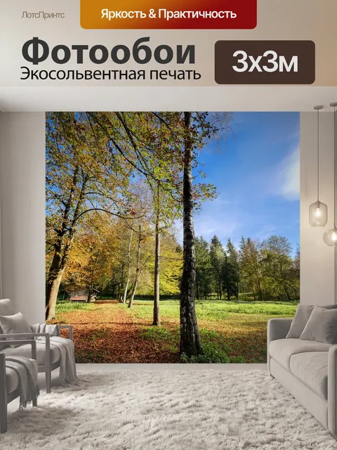 Фотообои Лес