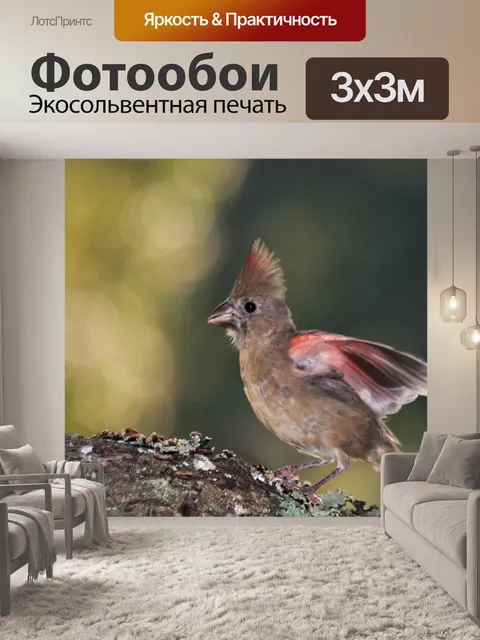 Фотообои Кардинальный взлет юной самки