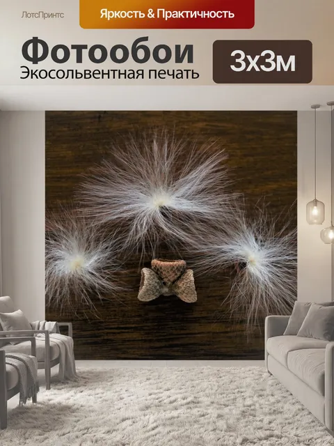 Фотообои Семена молочая и желудевые шапки 2
