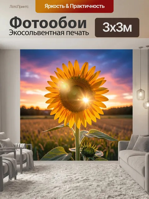 Фотообои Подсолнух на закате в поле