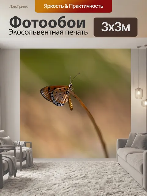 Фотообои Простой