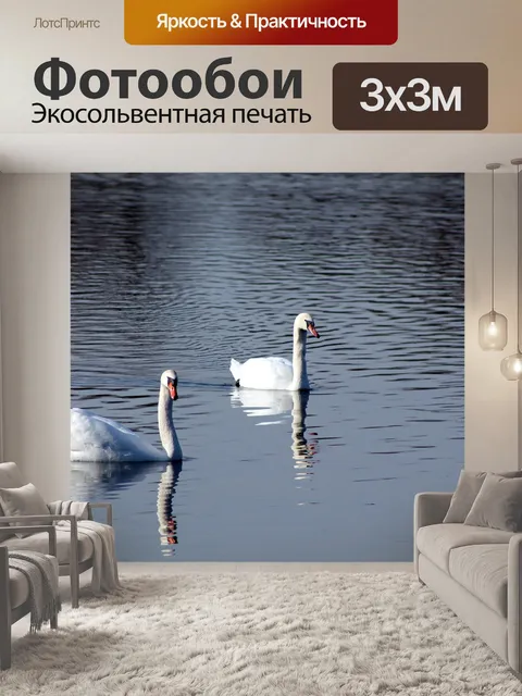 Фотообои Лебеди