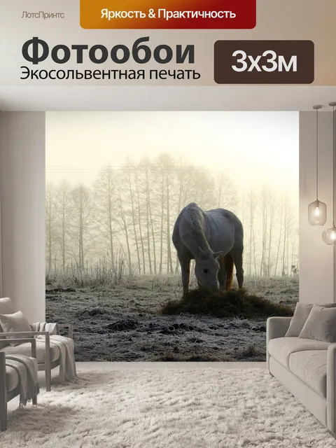 Фотообои Лошадь