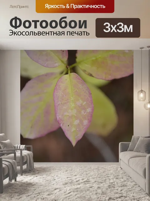 Фотообои Листья