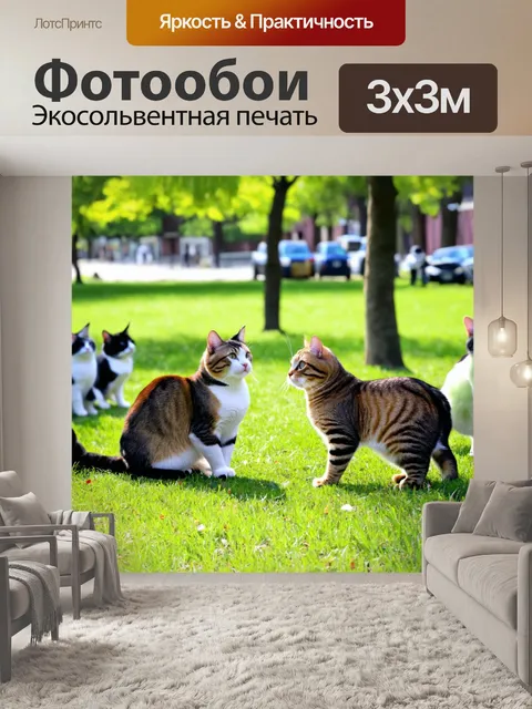 Фотообои кошки, собирающиеся на встречу друзей в парке