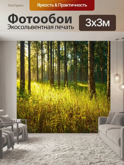 Фотообои лес с высокими травами и солнечными полосами на земле