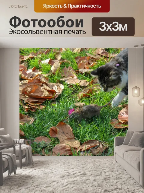 Фотообои Кошка