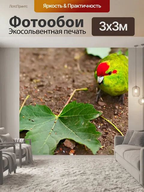 Фотообои Птица