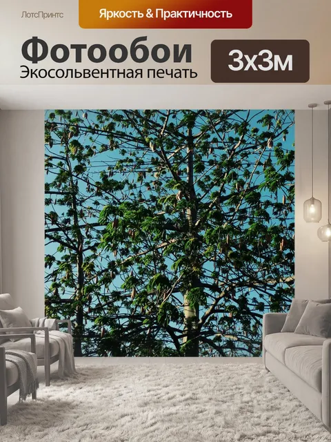 Фотообои Дерево