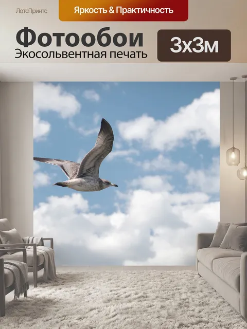 Фотообои Птица