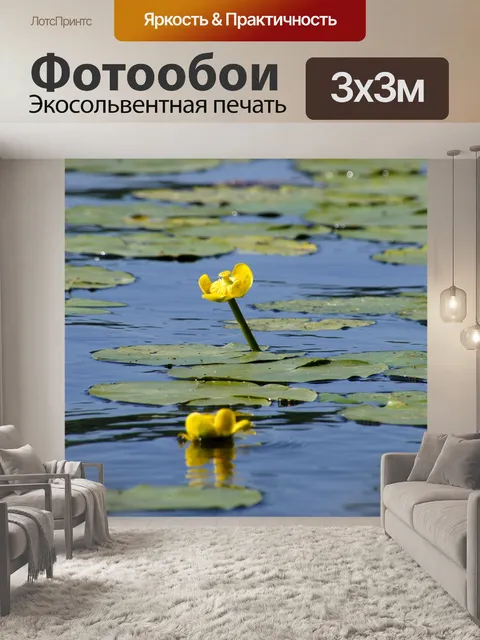 Фотообои Кувшинка