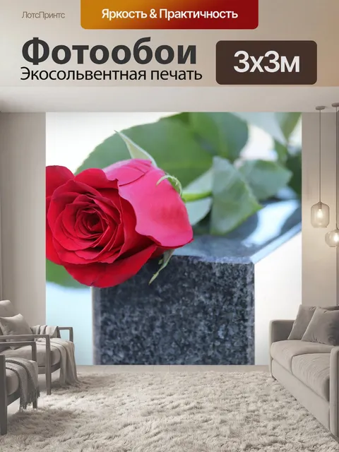 Фотообои Красная роза