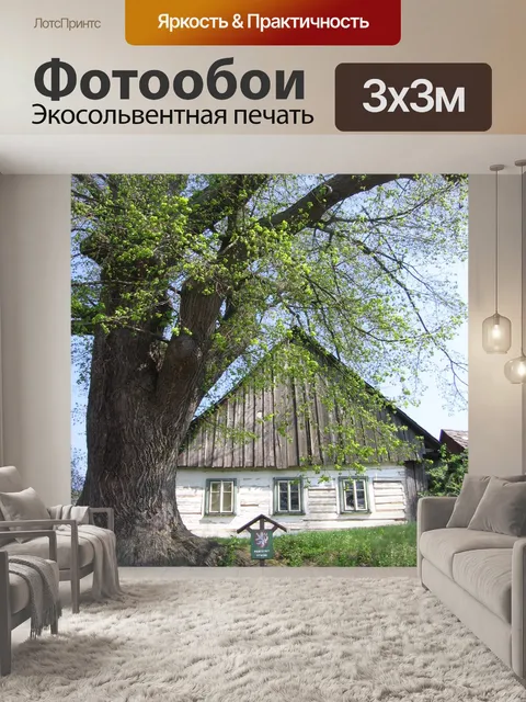Фотообои Коттедж
