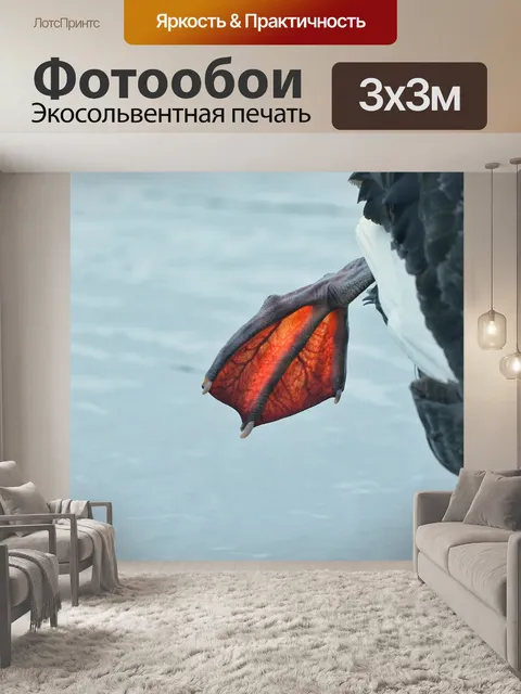Фотообои Животное