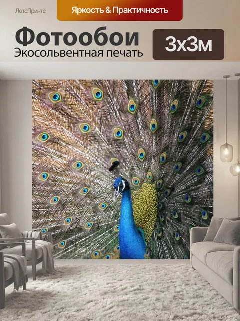 Фотообои Павлин