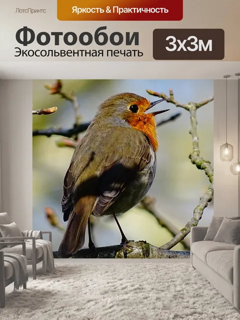 Фотообои Птица