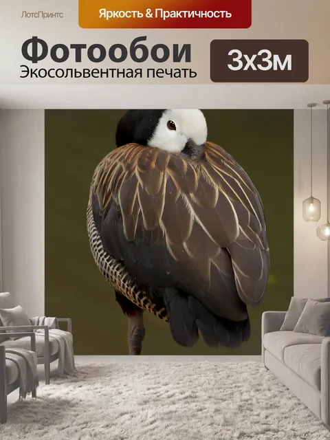 Фотообои Птица