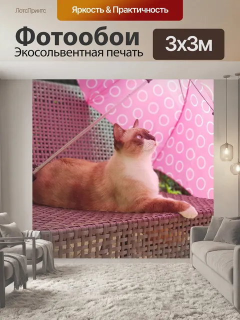 Фотообои Кошка