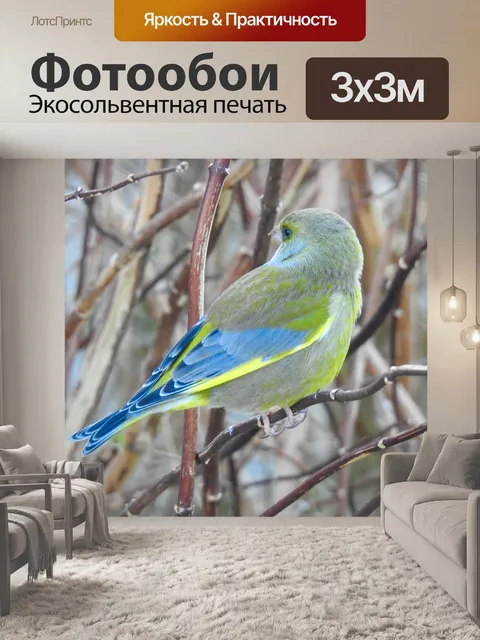 Фотообои Птицы