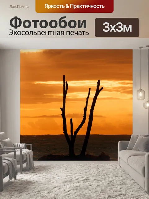 Фотообои Мертвое дерево силуэт на закате