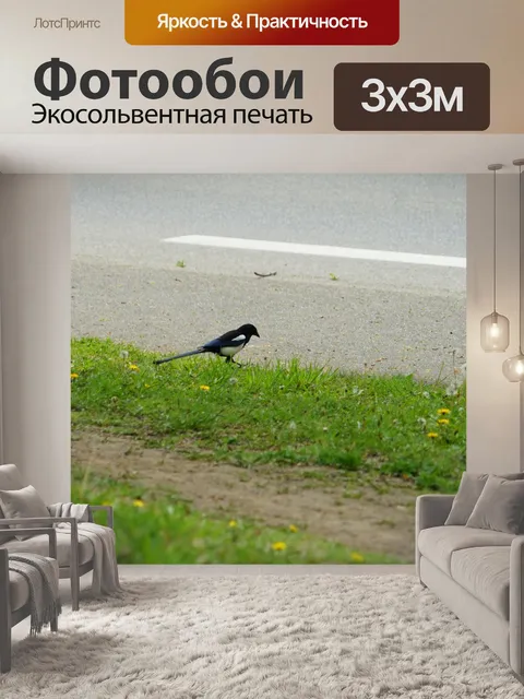Фотообои болтает сорока