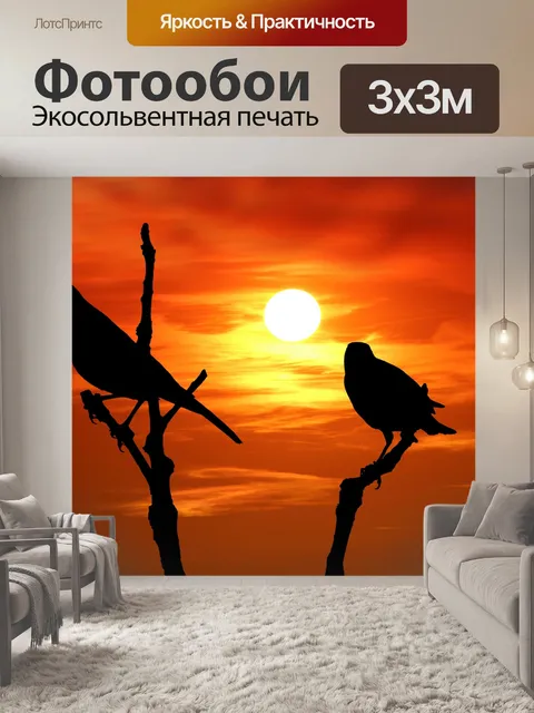 Фотообои Силуэт птицы на закате
