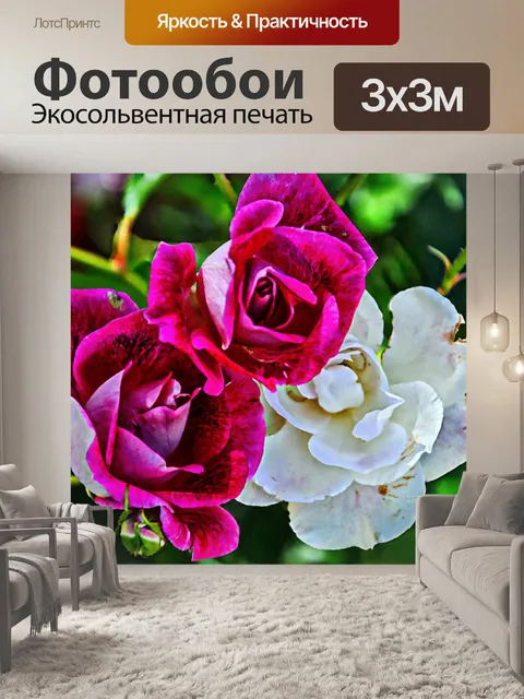 Фотообои Белые и розовые розы