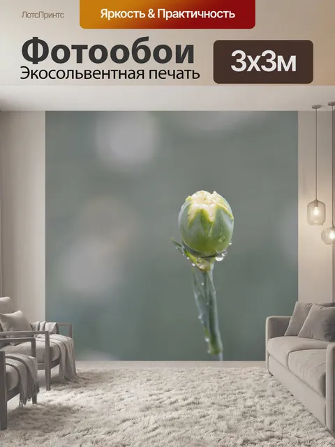 Фотообои Бутон