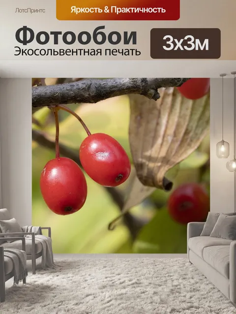 Фотообои Осень