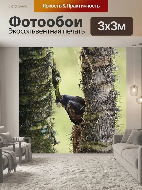 Фотообои Природа