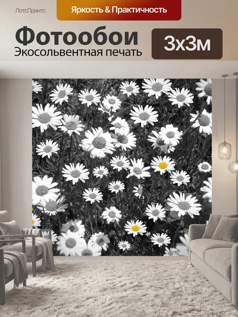 Фотообои Ромашки