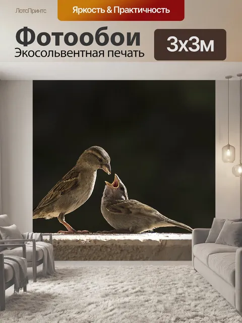 Фотообои Птицы
