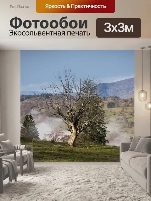 Фотообои Туман