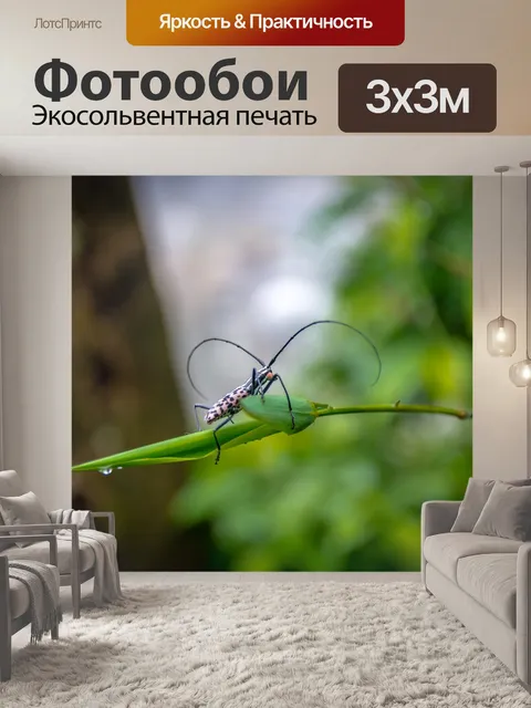 Фотообои Зеленый