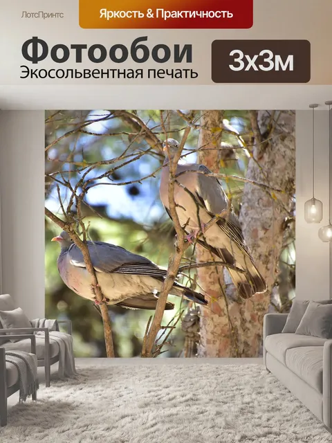 Фотообои Птицы